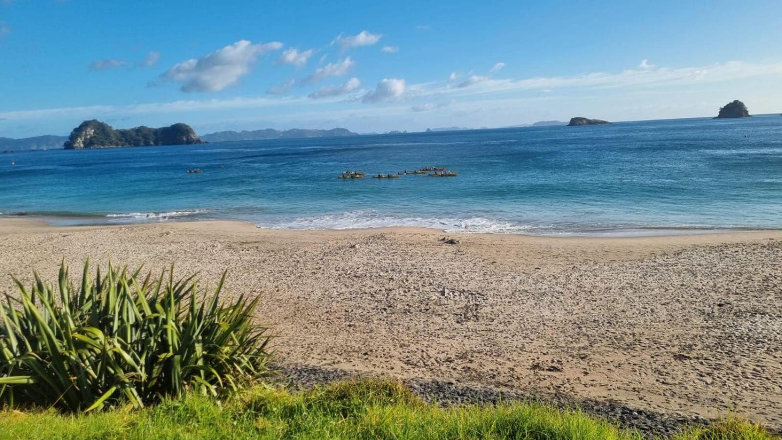 Country Retreat Leilighet Cooks Beach Eksteriør bilde